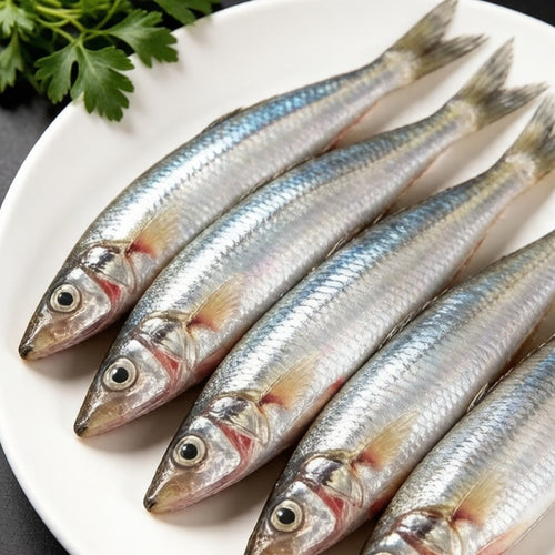 Fresh whole sardines laid out on a white plate with flat-leaf parsley