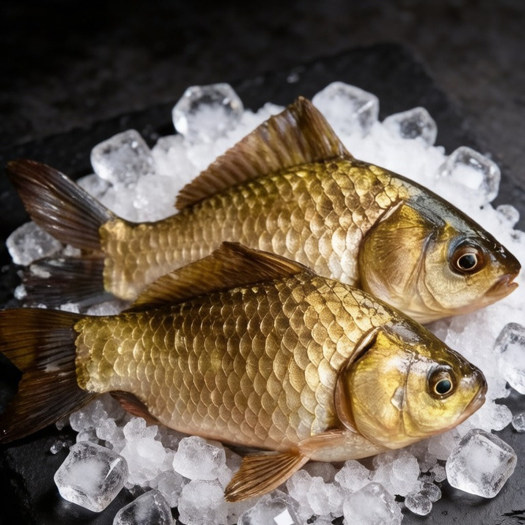 Two whole golden crucian carp on crushed ice, scales glistening